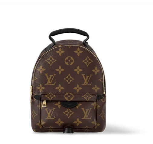 Luxury Backpack (Medium)